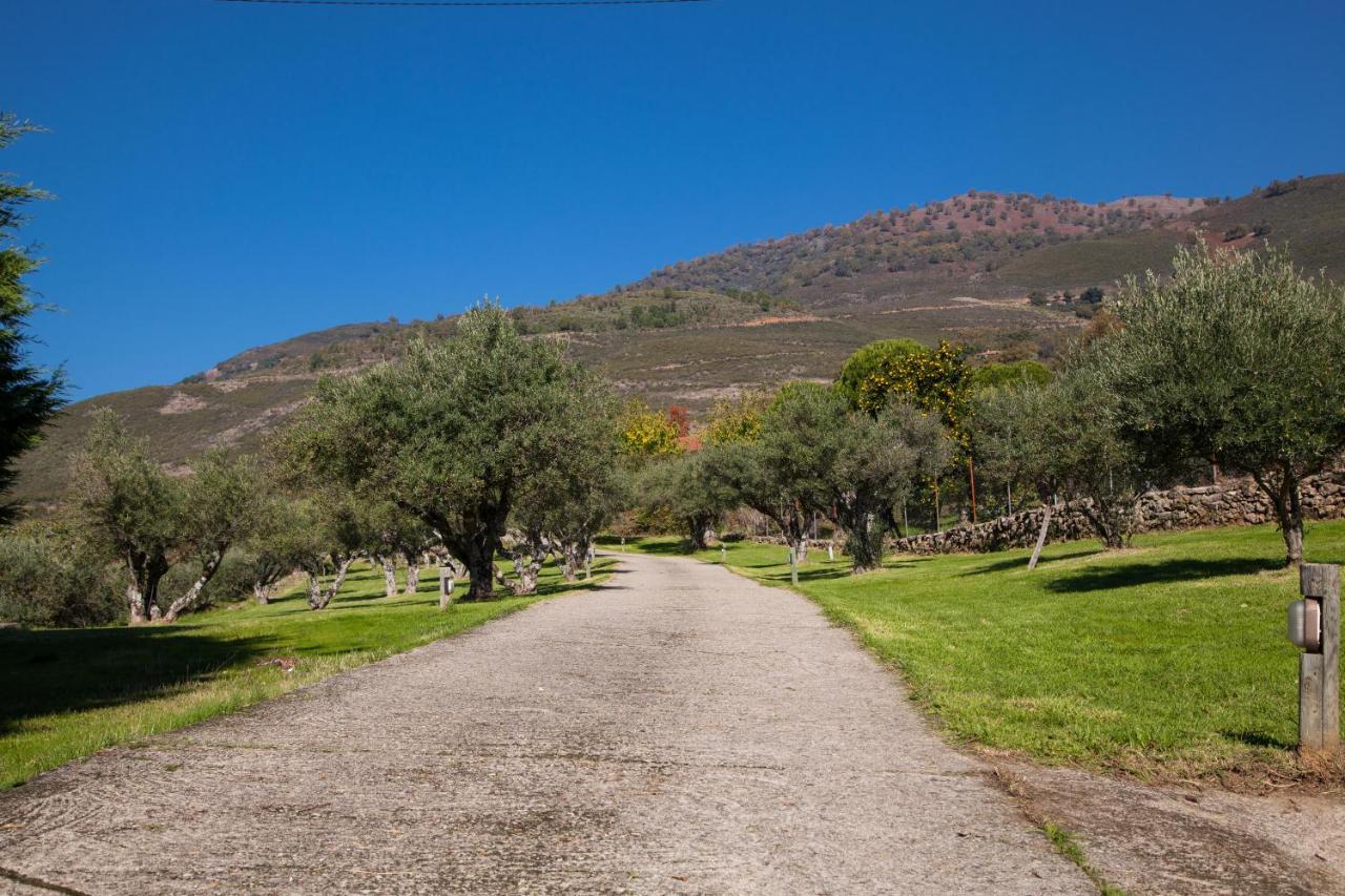 Finca La Sayuela Villa El Raso Dış mekan fotoğraf