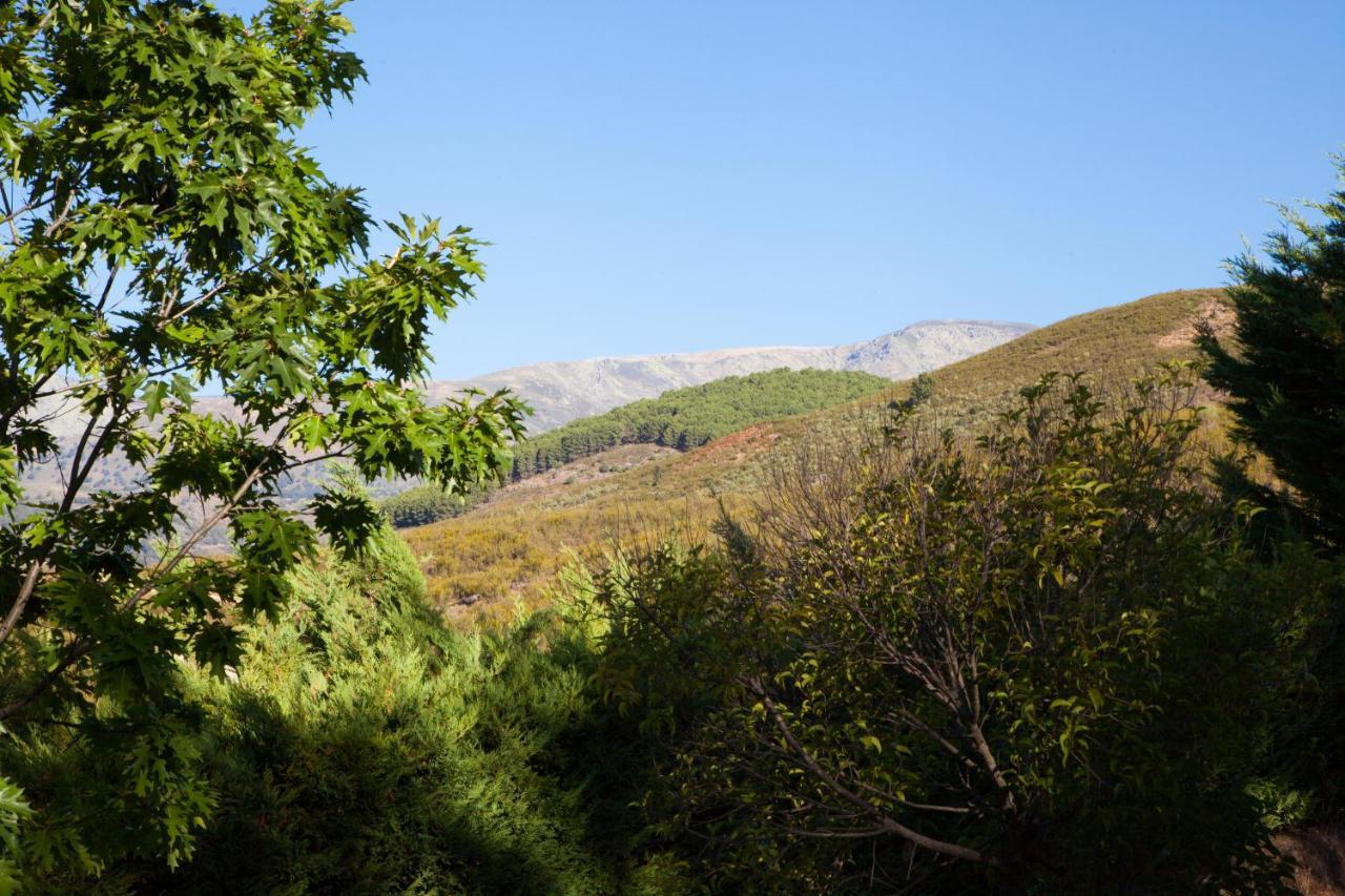 Finca La Sayuela Villa El Raso Dış mekan fotoğraf