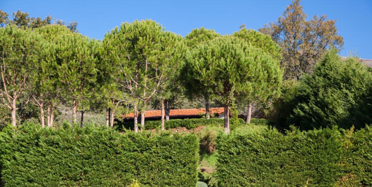 Finca La Sayuela Villa El Raso Dış mekan fotoğraf