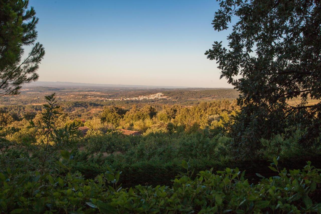 Finca La Sayuela Villa El Raso Dış mekan fotoğraf